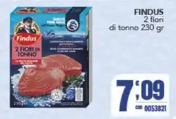Gruppo di Palo Findus 2 fiori di tonno offerta