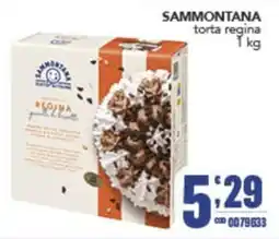 Gruppo di Palo Sammontana torta regina offerta