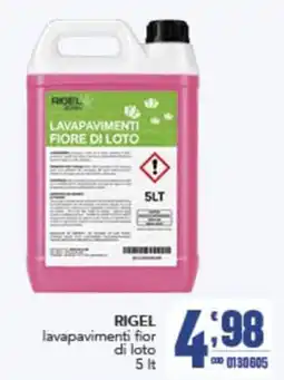 Gruppo di Palo Rigel lavapavimenti fior di loto offerta
