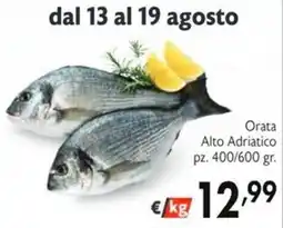 SuperW Orata Alto Adriatico offerta