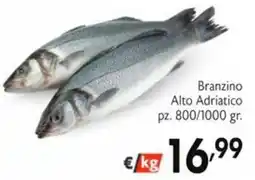 SuperW Branzino Alto Adriatico offerta
