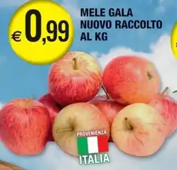 Palmarket Mele Gala offerta