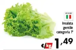 Spak Supermercati Insalata gentile categoria 1ª offerta