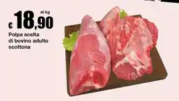Sì con te Market Polpa scelta di bovino adulto scottona offerta