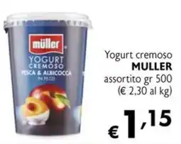 Maxi Supermercati Yogurt cremoso MULLER offerta