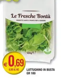 Palmarket Le Fresche Bontà Lattughino in busta offerta