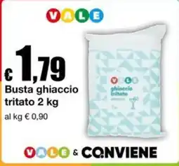 Sì con te Market Busta ghiaccio tritato offerta