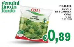 D'Italy Cuore di scarola Coal offerta