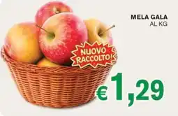 D'Italy Mela Gala offerta