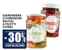 Il Gigante Giardiniera offerta