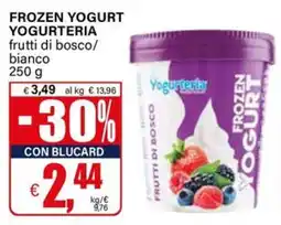 Il Gigante Frozen Yogurt Yogurteria frutti di bosco/bianco offerta