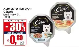Il Gigante Alimento per cani Cesar offerta