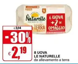 Il Gigante 8 uova le naturelle da allevamento a terra offerta