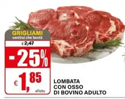 Il Gigante Lombata con osso di bovino adulto offerta