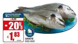 Il Gigante Orate offerta