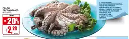Il Gigante Polpo decongelato offerta