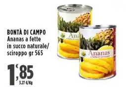 Rossotono Carrefour Bontà di campo Ananas offerta