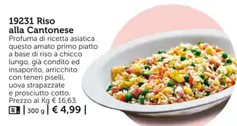 19231 Riso alla Cantonese