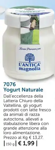 Bofrost Yogurt Naturale L'Antica Magnolia offerta