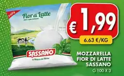 Superstore Coal Mozzarella fior di latte Sassano offerta