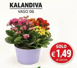 Superstore Coal Kalandiva Vaso 06 offerta