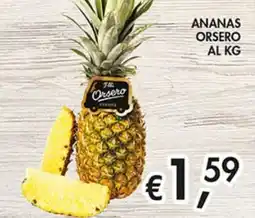 Superstore Coal Ananas Orsero offerta