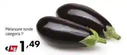 Maxi Family Melanzane tonde offerta