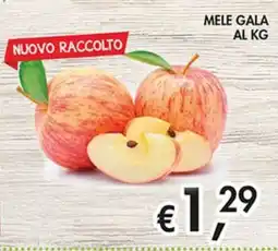 Superstore Coal Mele Gala offerta