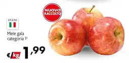 Maxi Family Mele gala offerta