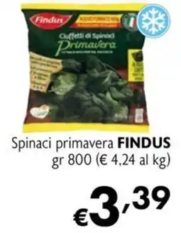 Maxi Family Spinaci primavera FINDUS offerta