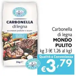 Maxi Family Carbonella di legna Mondo Pulito offerta