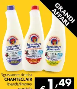 Maxi Family Sgrassatore ricarica Chanteclair offerta