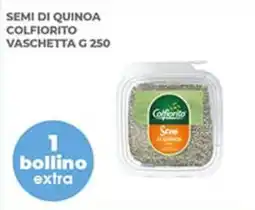 Superstore Coal Semi di quinoa Colfiorito offerta