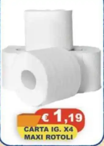 Magazzini del Risparmio Carta ig. maxi rotoli offerta