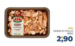 Moderna AIA kebab di pollo offerta