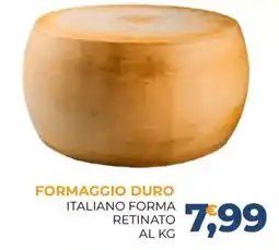 Moderna Formaggio duro italiano forma retinato offerta