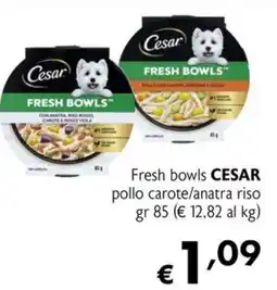 Maxi Supermercati Fresh bowls CESAR pollo carote/anatra riso offerta