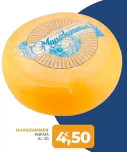 Moderna Maasdammer offerta