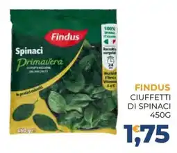 Moderna Findus ciuffetti di spinaci offerta