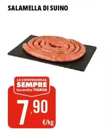 Salamella di suino