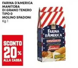 Panorama Farina d'America Manitoba di grano tenero tipo 0 Molino Spadoni offerta