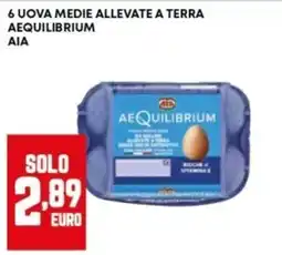Panorama Uova medie allevate a terra Aequilibrium offerta