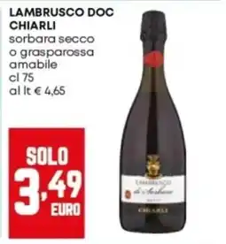 Panorama Lambrusco doc chiarli offerta