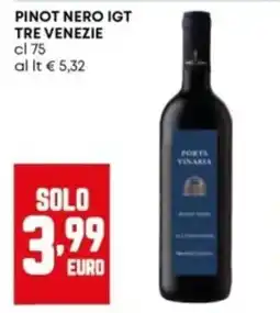 Panorama Pinot Nero IGT Tre Venezie offerta