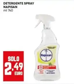 Panorama Detergente spray Napisan offerta