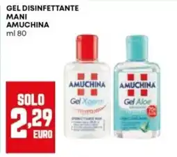 Panorama Gel disinfettante mani Amuchina offerta