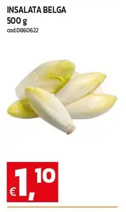 C+C maxigross Insalata belga offerta
