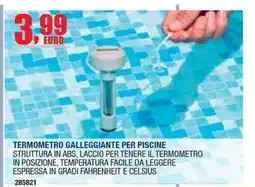 Bricofer Termometro galleggiante per piscine offerta