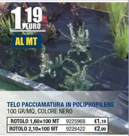 Bricofer Telo pacciatura in polipropilene offerta