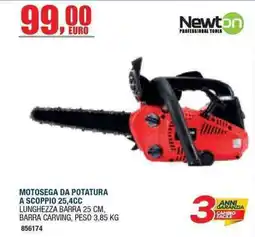 Bricofer Motosega da potatura Newton offerta